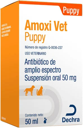 Amoxi Vet Puppy frasco 50 ml - Dechra Amoxi Vet Puppy frasco 50 ml - Dechra